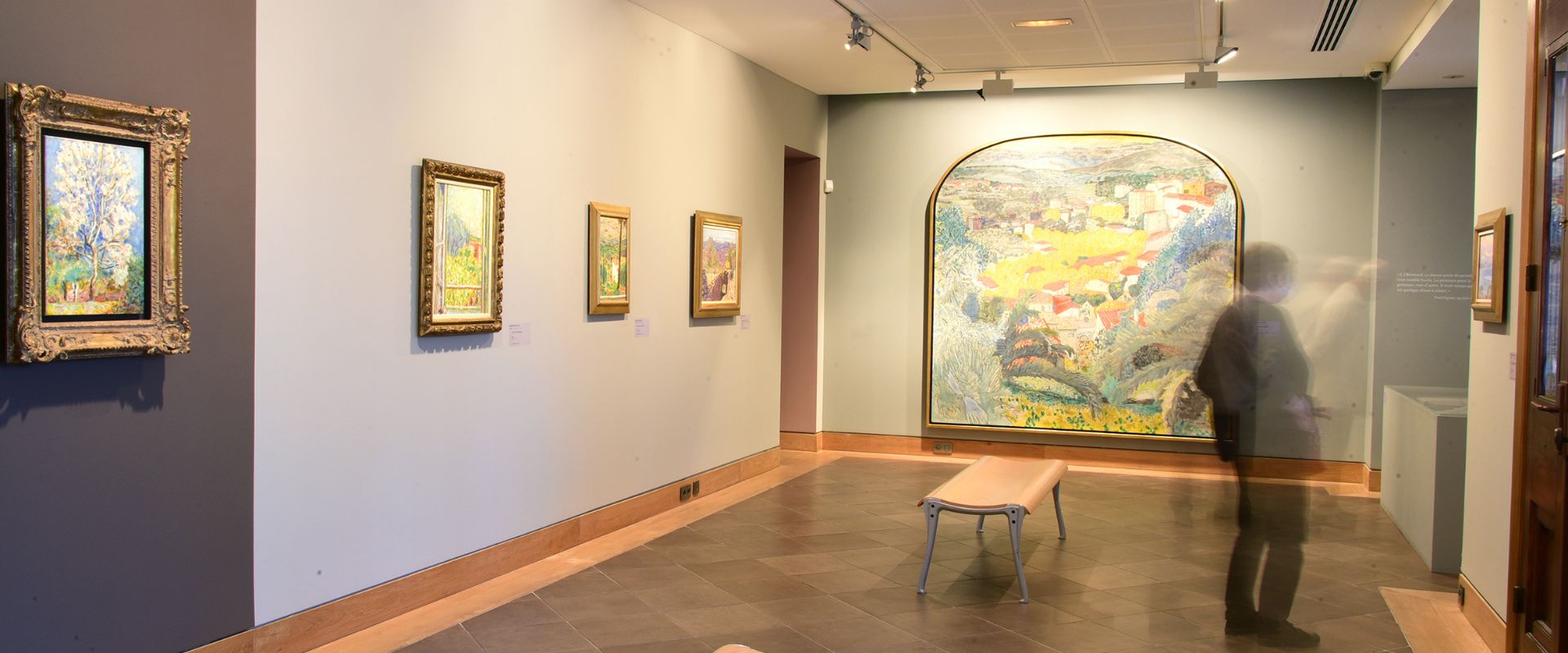 ACCUEIL les collections musée bonnard